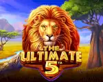 The Ultimate 5